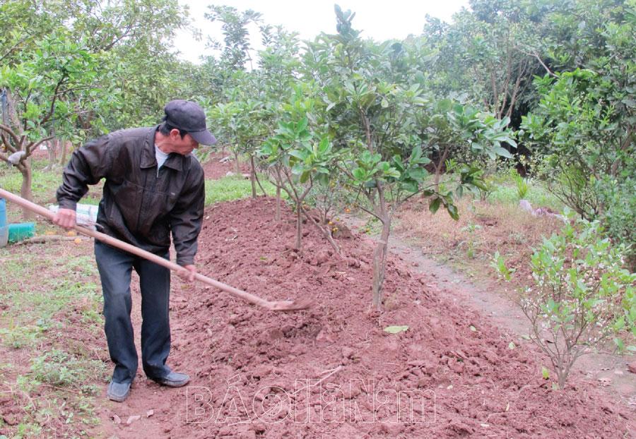 Tích cực hưởng ứng phong trào trồng cây xanh