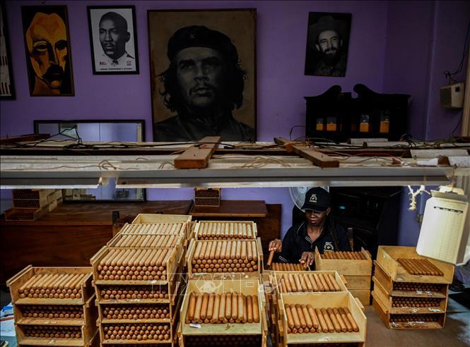 Điểm tên những dòng xì gà đình đám nhất lễ hội Habano 2023