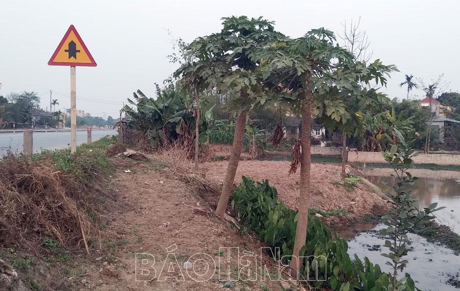 Khó quản lý, sử dụng diện tích đất nhỏ lẻ sau thu hồi giải phóng mặt bằng