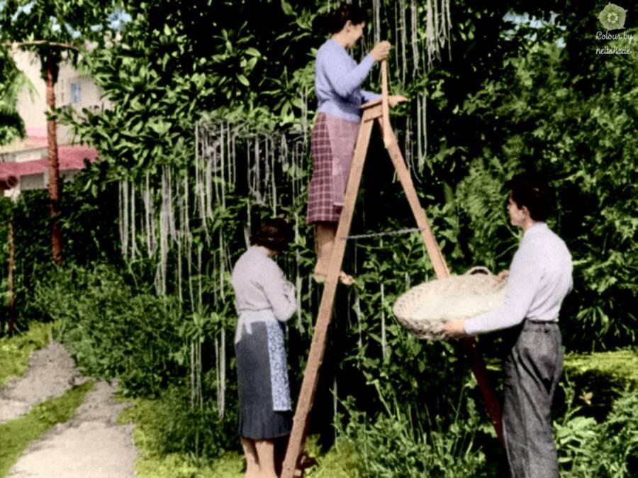 Những cú lừa ngày Cá tháng Tư chấn động trong lịch sử