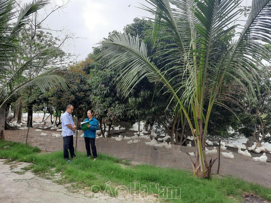 Hiệu quả nguồn vốn tín dụng chính sách ở Lý Nhân