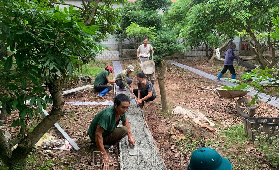 Hội Nông dân Lý Nhân tích cực tham gia xây dựng nông thôn mới