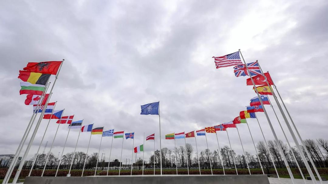 Đức khẳng định NATO chưa quyết định về việc Ukraine gia nhập