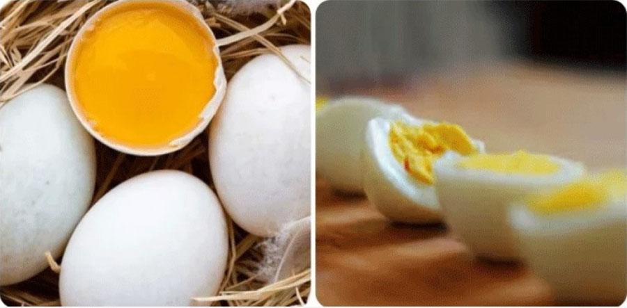 Trứng vịt ăn sống được không?