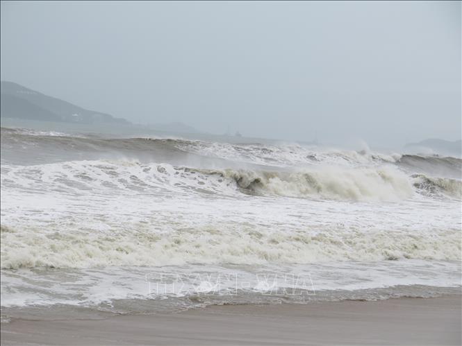 Chủ động ứng phó với diễn biến của áp thấp nhiệt đới