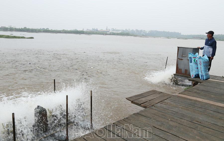 Chuyển biến trong sản xuất nông nghiệp ở các địa phương sau sáp nhập
