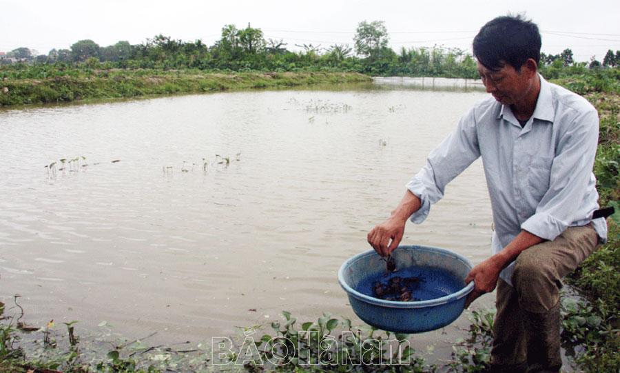Hội Nông dân Bình Lục với phong trào thi đua sản xuất, kinh doanh giỏi
