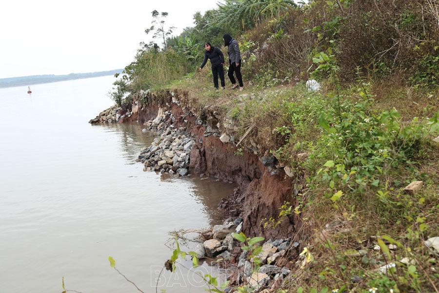 Lý Nhân bảo đảm an toàn hệ thống đê điều trong mùa mưa, bão