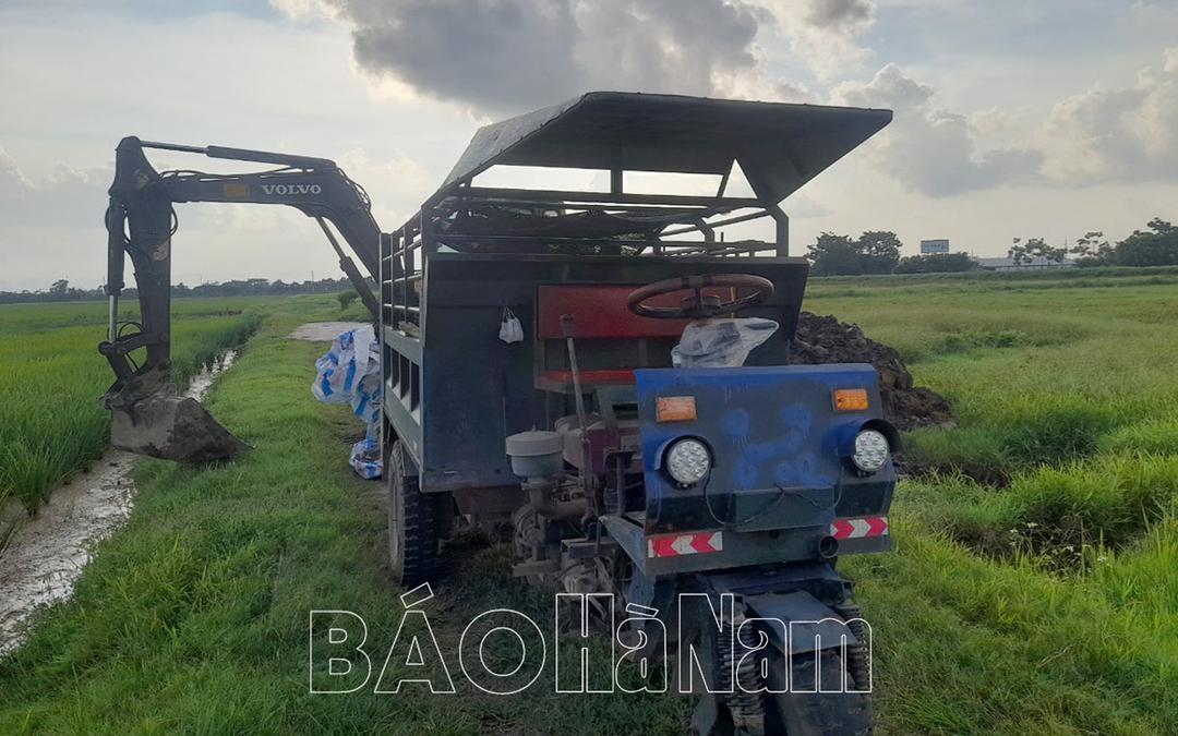 Xuất hiện ổ dịch tả lợn châu Phi tại thị trấn Bình Mỹ