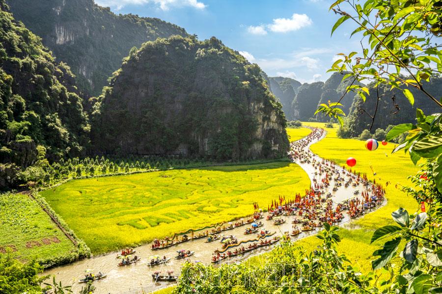 Sắc vàng Tam Cốc – Tràng An