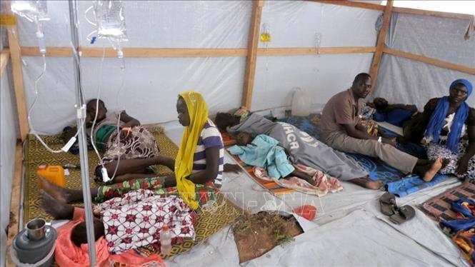 Trên 420 người tử vong do dịch tả ở Cameroon