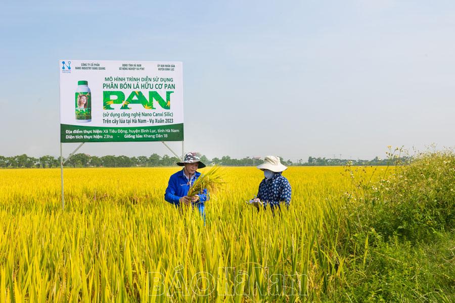 Niềm vui được mùa