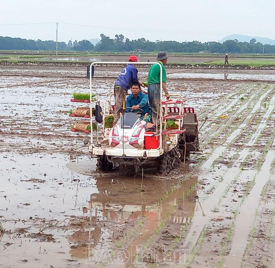 Đẩy nhanh tiến độ gieo cấy lúa mùa