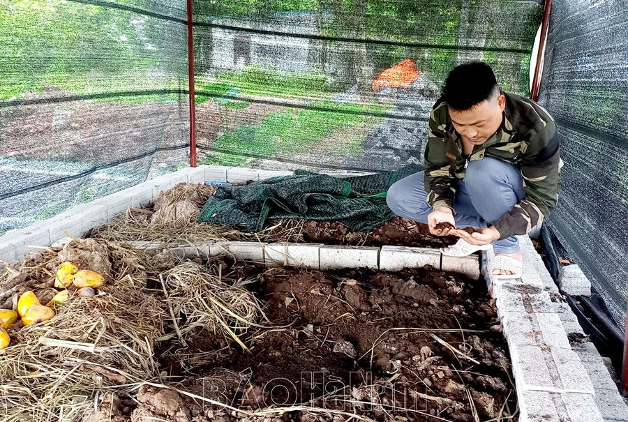 Nâng cao hiệu quả hoạt động của HTX kiểu mới