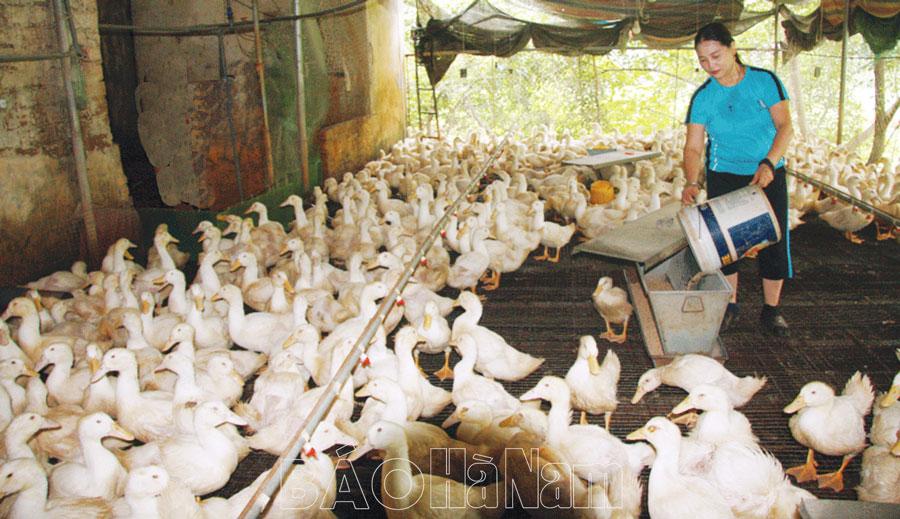 Hội LHPN Kim Bảng phát huy hiệu quả nguồn vốn vay ủy thác