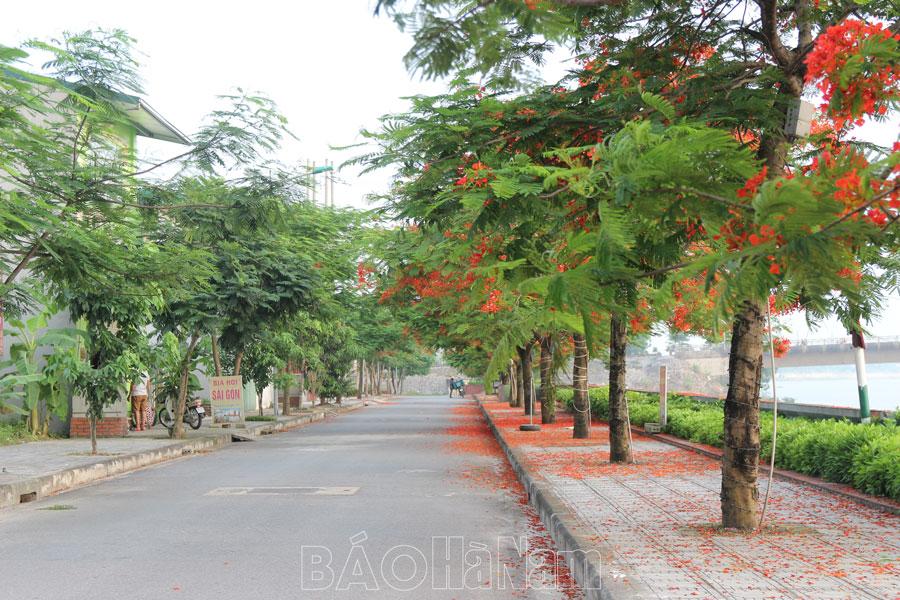 Để hệ thống cây xanh ở Phủ Lý bảo đảm an toàn, tạo mỹ quan đô thị