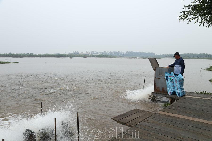 Lý Nhân nâng cao giá trị sản xuất trên diện tích nuôi thủy sản