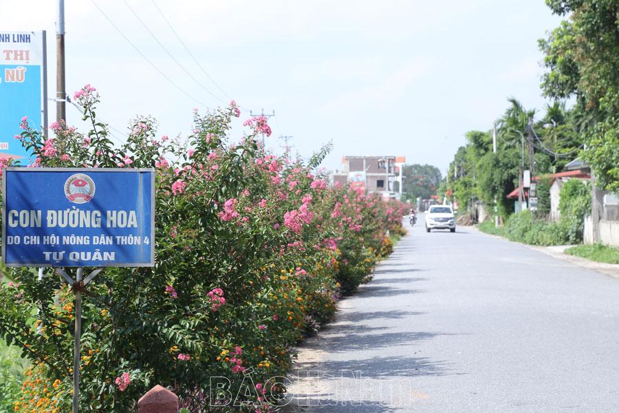 Lựa chọn cây xanh phù hợp cho các tuyến đường nông thôn