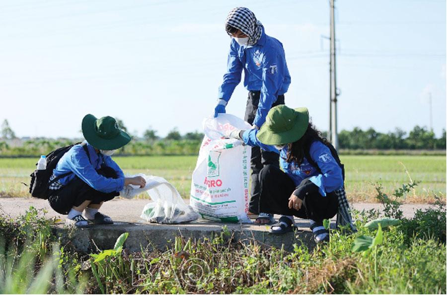 Trưởng thành từ Chiến dịch Mùa hè xanh