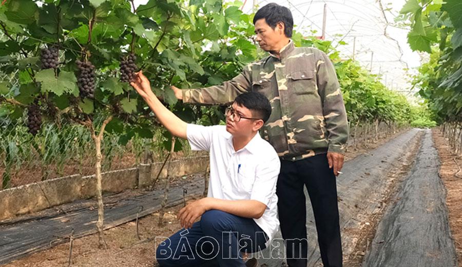 Các xã đăng ký đạt chuẩn nông thôn mới nâng cao năm 2023: Nỗ lực về đích