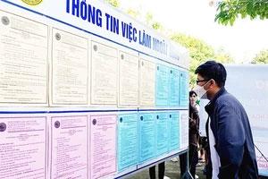 Lao động đi làm việc nông nghiệp ở Hy Lạp, mức lương cơ bản hơn 800 euro/tháng