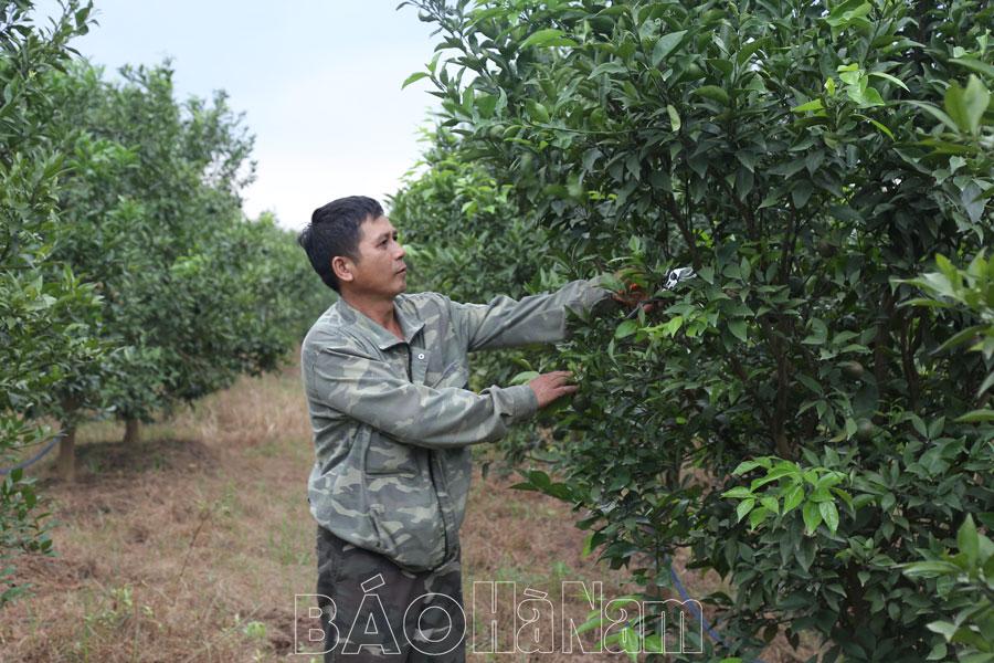 Nguyên Lý hoàn thành các tiêu chí xây dựng nông thôn mới nâng cao