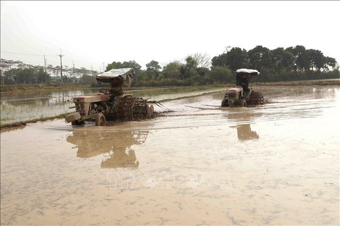 Sẽ có 12 ngày lấy nước vụ Đông Xuân 2023 - 2024 ở khu vực Trung du và Đồng bằng Bắc Bộ