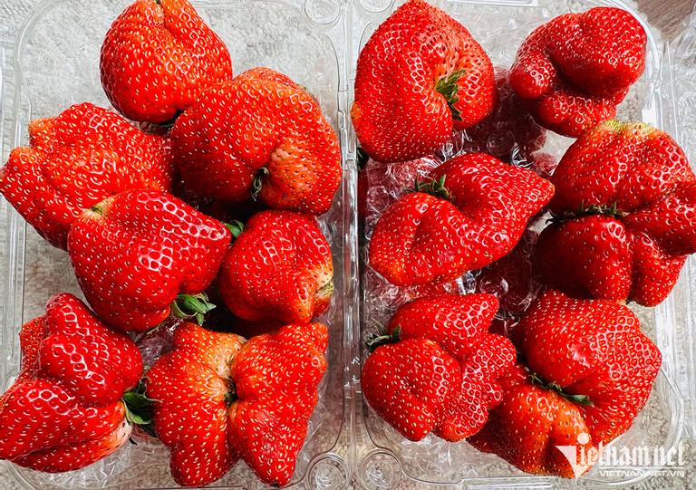 Quả đặc sản Sơn La hái không kịp bán, ở Hà Nội đắt nhất 1 triệu/kg