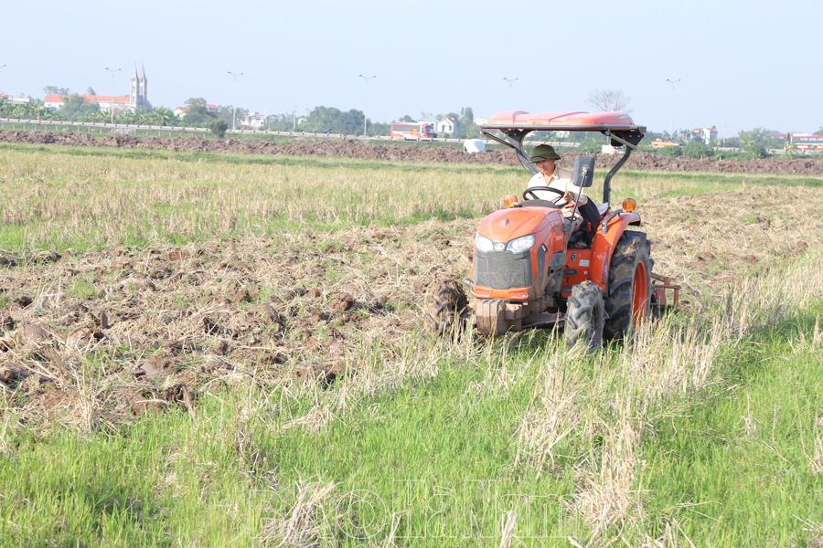 Tập trung chuẩn bị sản xuất vụ lúa xuân 2024
