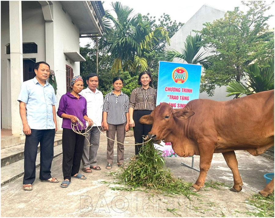 Hiệu quả mô hình tặng bò vàng sinh sản cho hội viên, nông dân nghèo