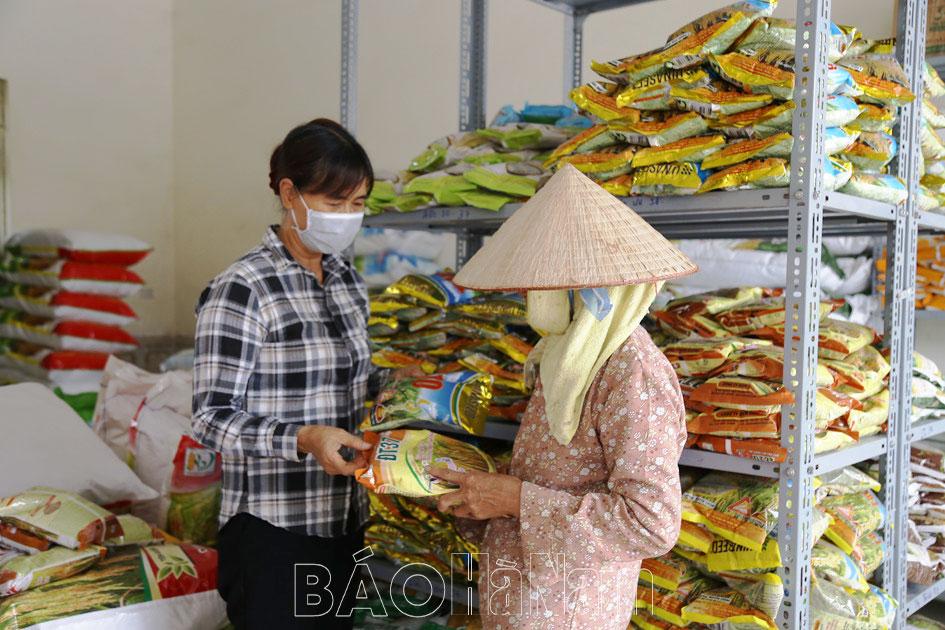 Chuyển đổi cơ cấu giống vụ lúa xuân 2024