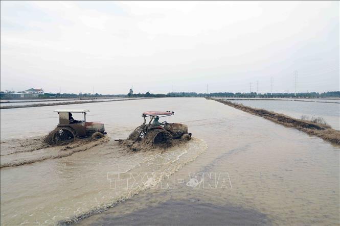 Ngày 28/1 sẽ kết thúc lấy nước đợt 1 cho vụ Đông Xuân