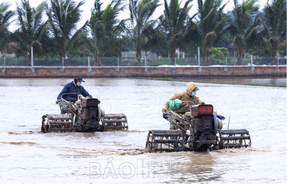 Đưa cơ giới vào sản xuất tại HTXNN Nhân Phúc