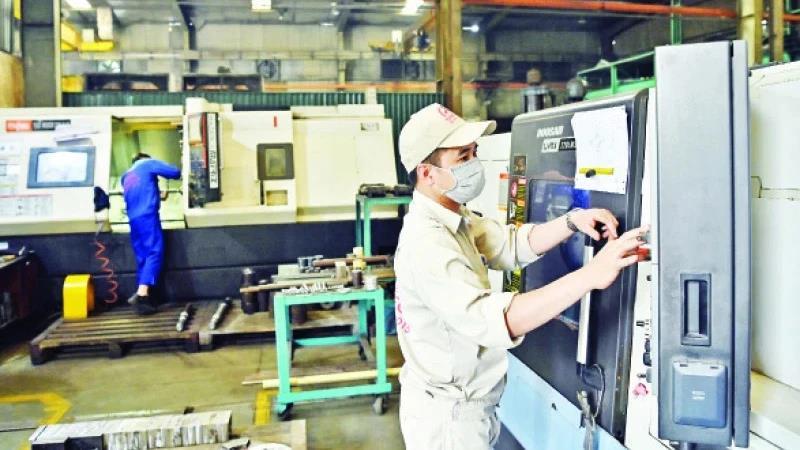 Rà soát, xử lý với các trường hợp đã hưởng bảo hiểm xã hội một lần không đúng quy định