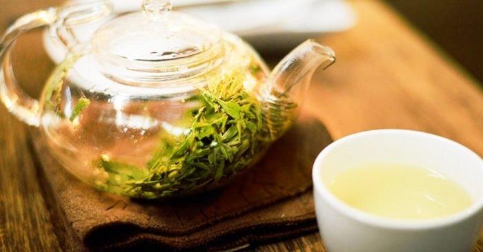 Những người không nên uống nước lá đinh lăng