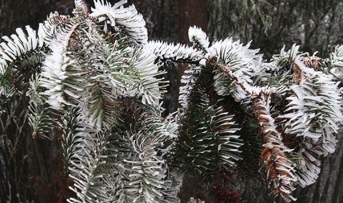 Miền Bắc đón đợt không khí lạnh tăng cường, vùng núi dưới 5 độ C