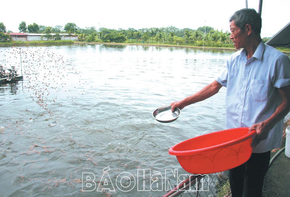 Nghĩa tình cựu thanh niên xung phong