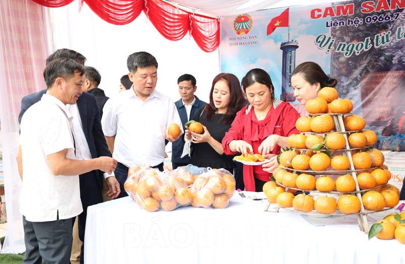Giới thiệu, quảng bá và tiêu thụ sản phẩm cam sành Hà Giang tại Hà Nam