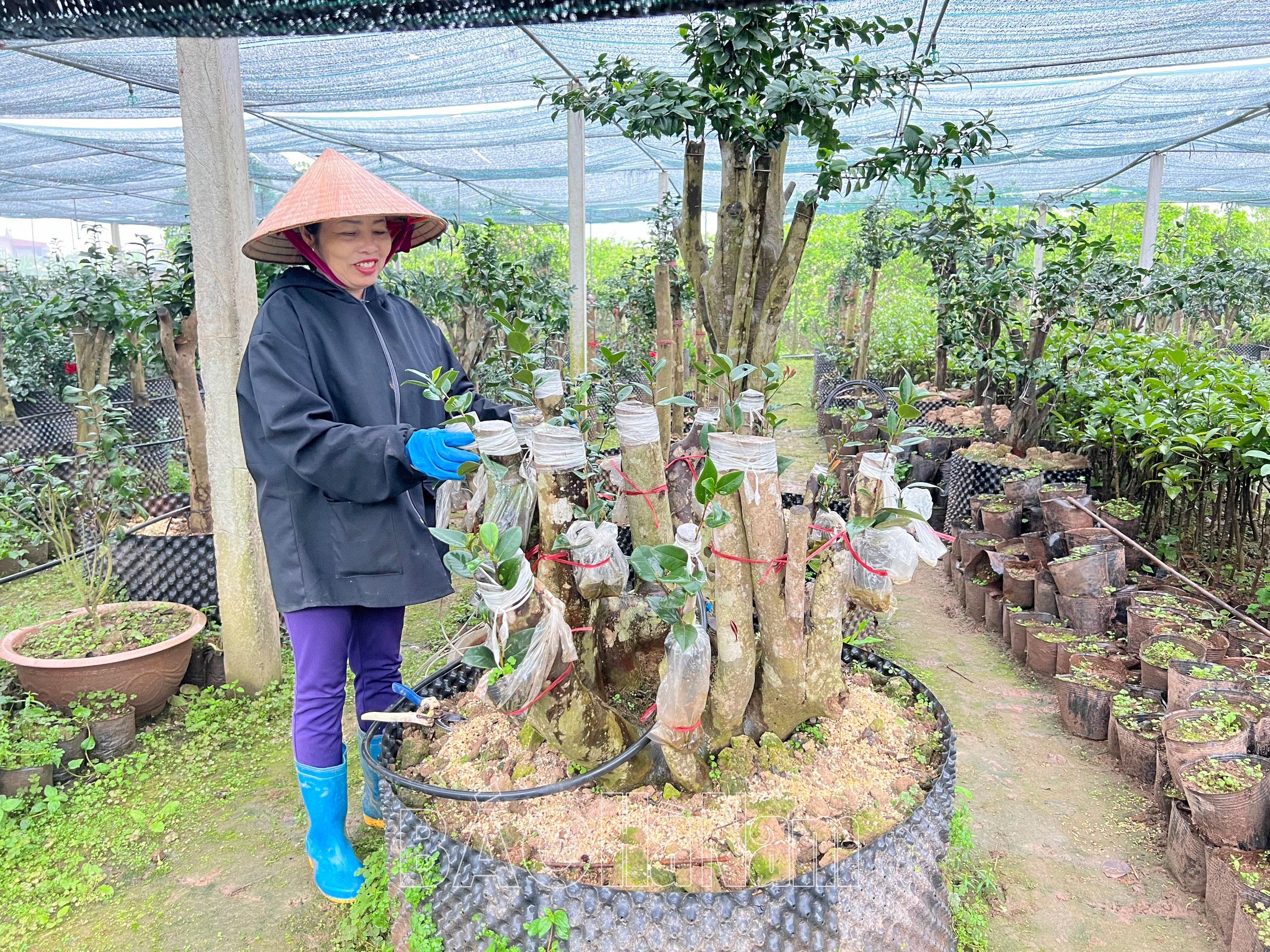 Cầu nối đưa nguồn vốn tín dụng ưu đãi đến Hội viên nông dân