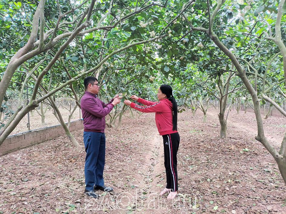 Hội Nông dân xã Đồng Du chung sức xây dựng nông thôn mới nâng cao