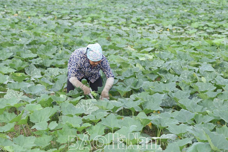 An Ninh chú trọng nâng cao thu nhập cho người dân