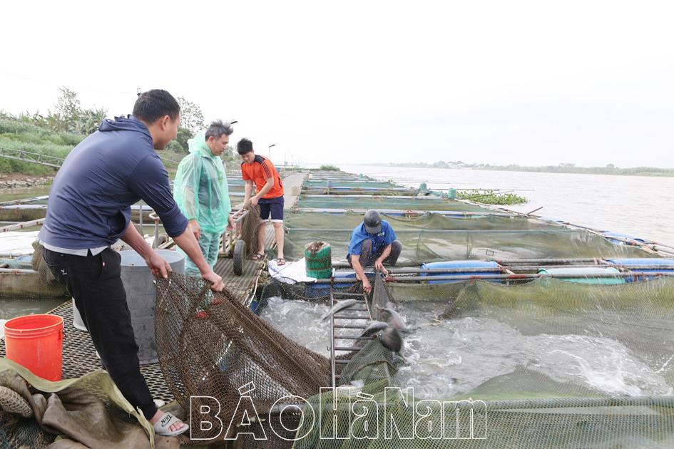 Phú Phúc phấn đấu đạt chuẩn nông thôn mới nâng cao