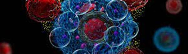 Ấn Độ ra mắt liệu pháp tế bào CAR-T bản địa đầu tiên để điều trị ung thư