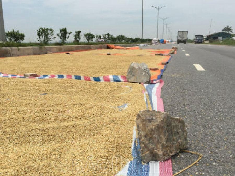 Cảnh báo nguy cơ mất an toàn giao thông do đốt rơm rạ, phơi thóc trên các tuyến đường