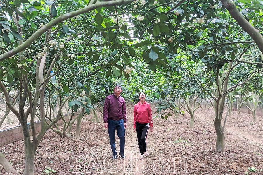 Bước chuyển tích cực  ở các xã đạt chuẩn NTM nâng cao