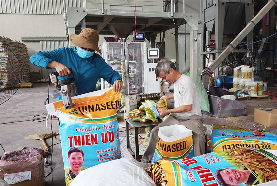 Chuẩn bị các điều kiện phục vụ sản xuất vụ mùa