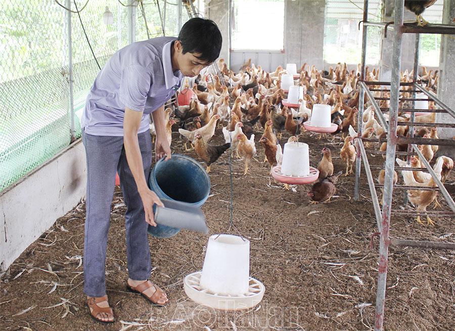 Hiệu quả kinh tế từ mô hình VAC ở Thanh Nguyên