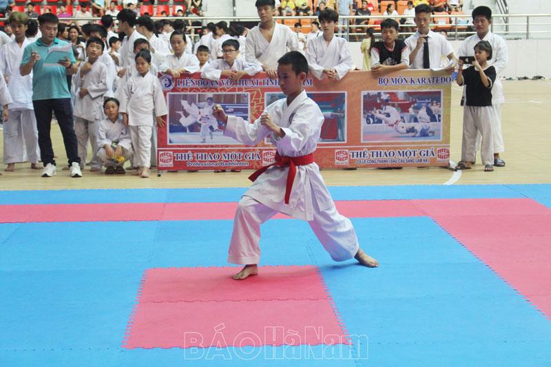 Ngày 11/8 sẽ khai mạc Giải Vô địch các CLB Karate tỉnh Hà Nam mở rộng lần thứ nhất năm 2024