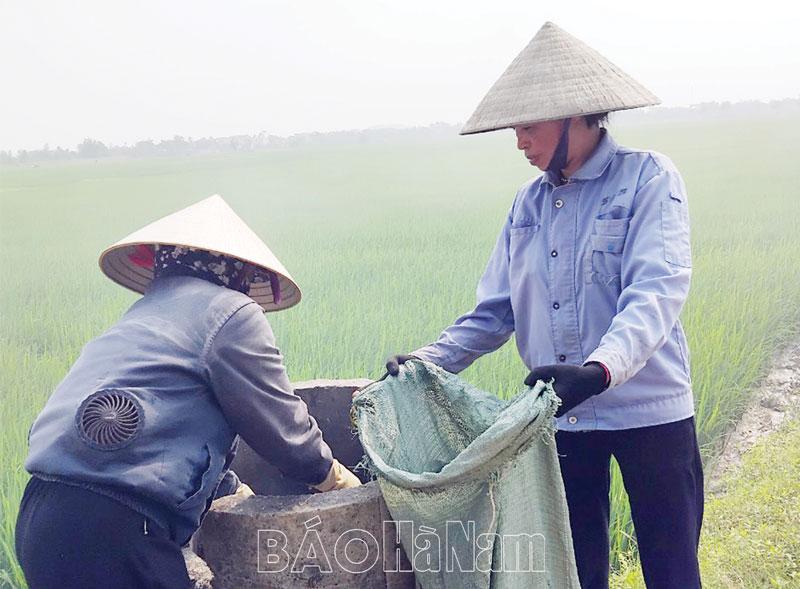 Nông dân An Lão gắn phát triển sản xuất với bảo vệ môi trường