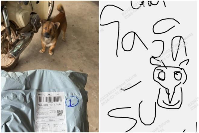 Chú chó ở Thái Lan thay chủ nhận hàng từ shipper